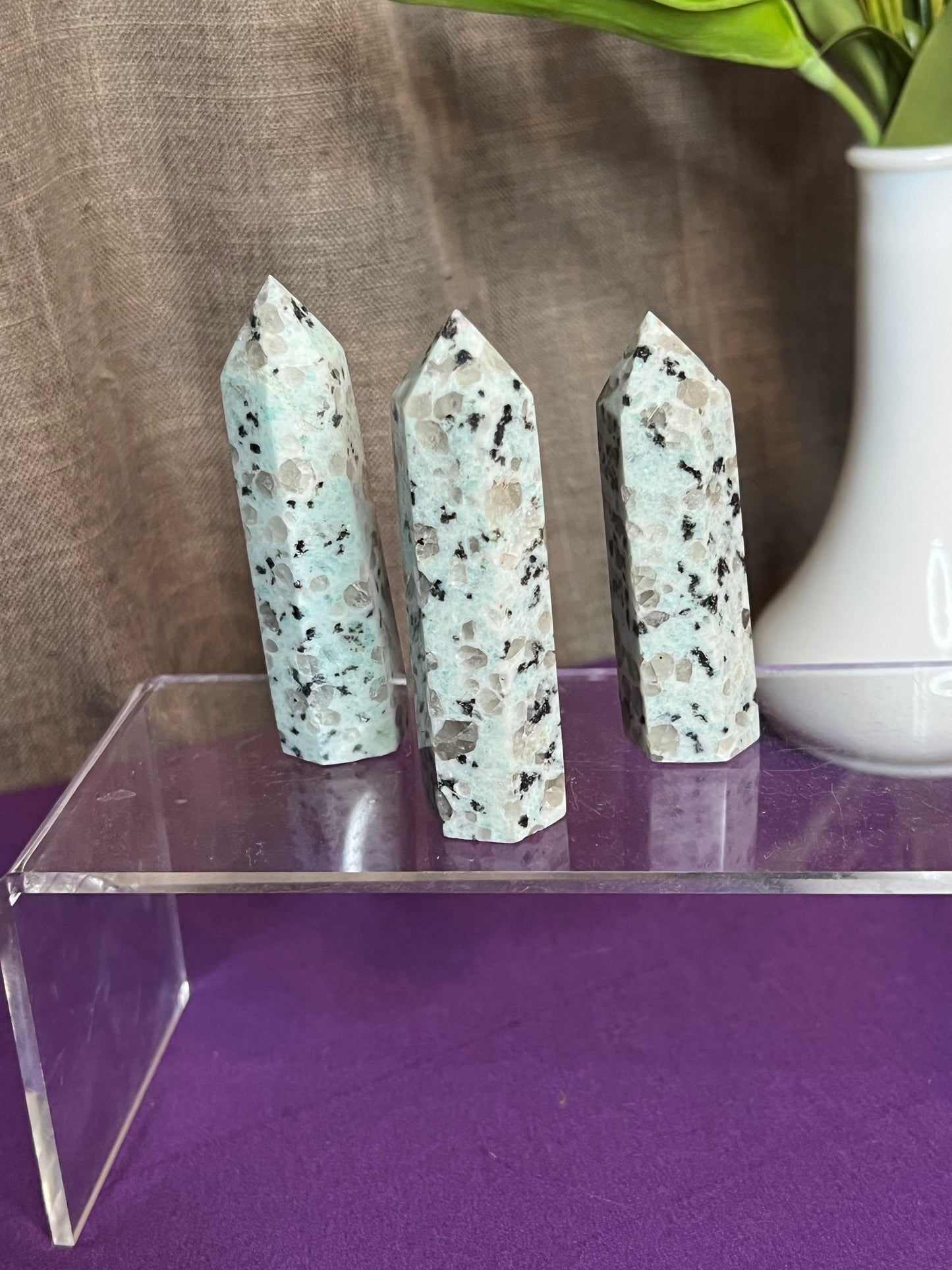 Kiwi Jasper XS Towers