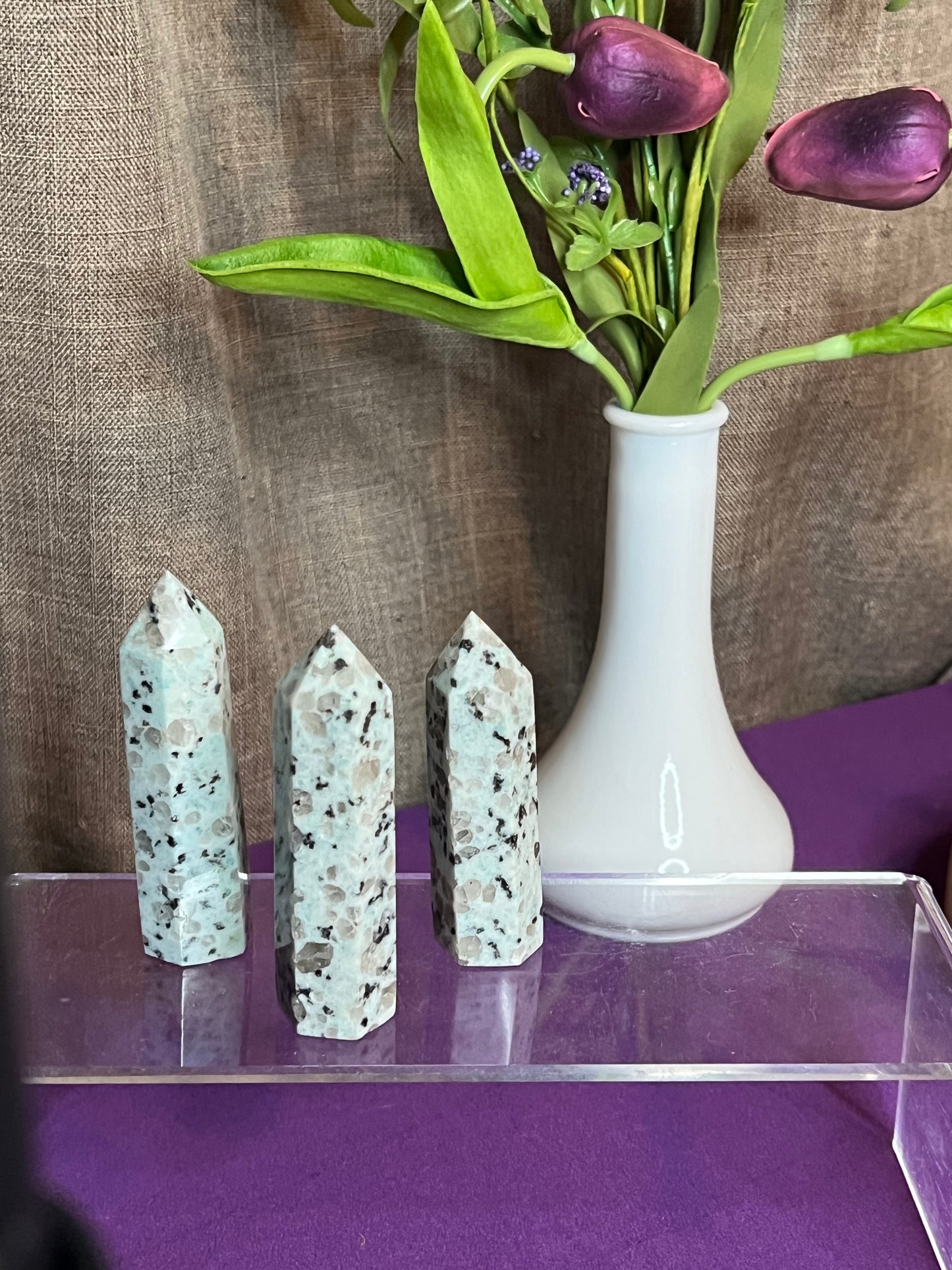 Kiwi Jasper XS Towers